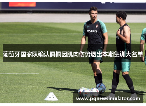 葡萄牙国家队确认佩佩因肌肉伤势退出本期集训大名单 葡萄牙国家队确认佩佩因肌肉伤势退出本期集训大名单