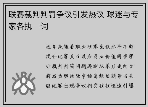 联赛裁判判罚争议引发热议 球迷与专家各执一词